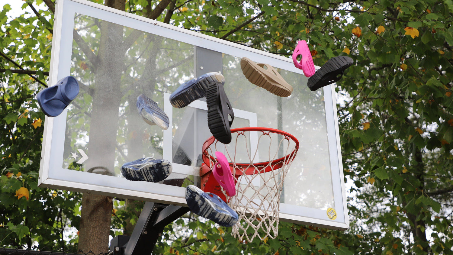 Nothing But Net Collection